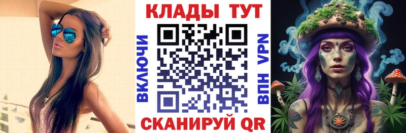 Виды наркотиков купить Чегем Alpha PVP  Марихуана  Мефедрон  Псилоцибиновые грибы  МДМА  Гашиш 